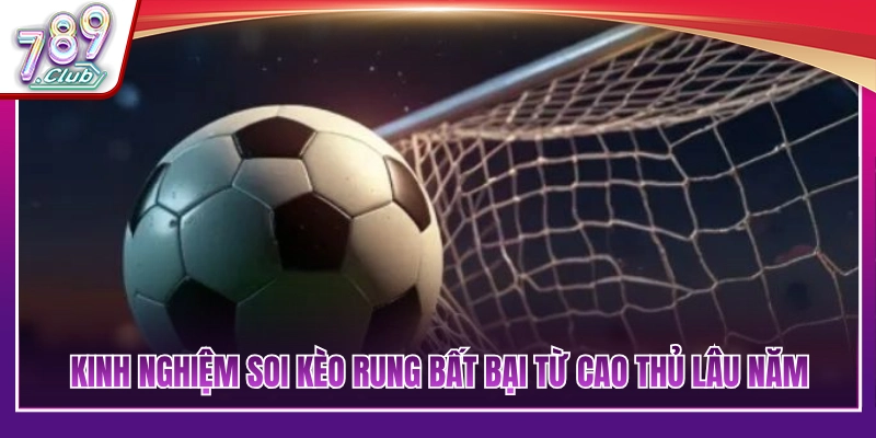 Kinh Nghiệm Soi Kèo Rung Cực Chuẩn Bắt Trọn Kèo Ngon 4 Kinh nghiệm soi kèo rung hiệu quả từ người chơi lâu năm